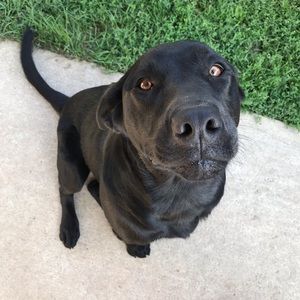 Meet your Posher, Val